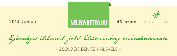 ZSOLDOS BENCE HÍRLEVELE