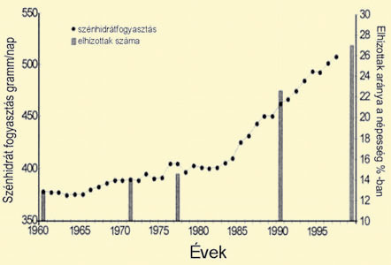 Inzulinrezisztencia vizsgálat, kezelés, étrend - Endokrinközpont