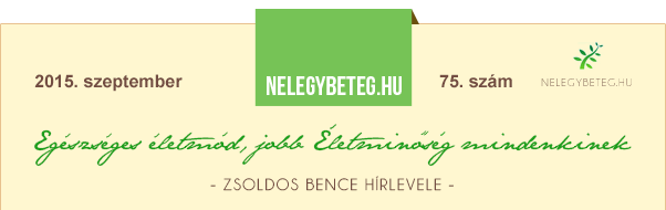 ZSOLDOS BENCE HÍRLEVELE