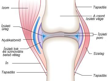 az artrózis kombinált kezelése)